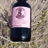 Fungus Stopper - Desert-Infused Antifungal Oil 2 fl oz / 60 ml - Image 3