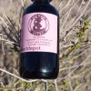 Fungus Stopper - Desert-Infused Antifungal Oil 2 fl oz / 60 ml - Image 3